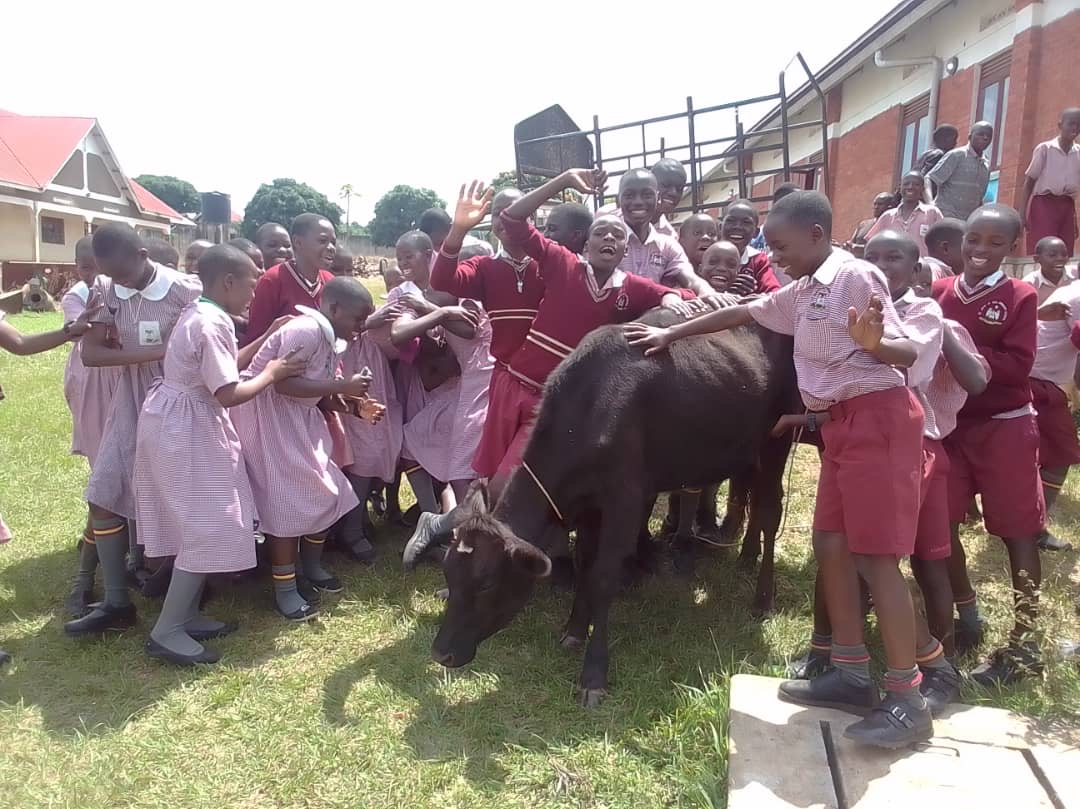 SJA Students with Monica the Cow