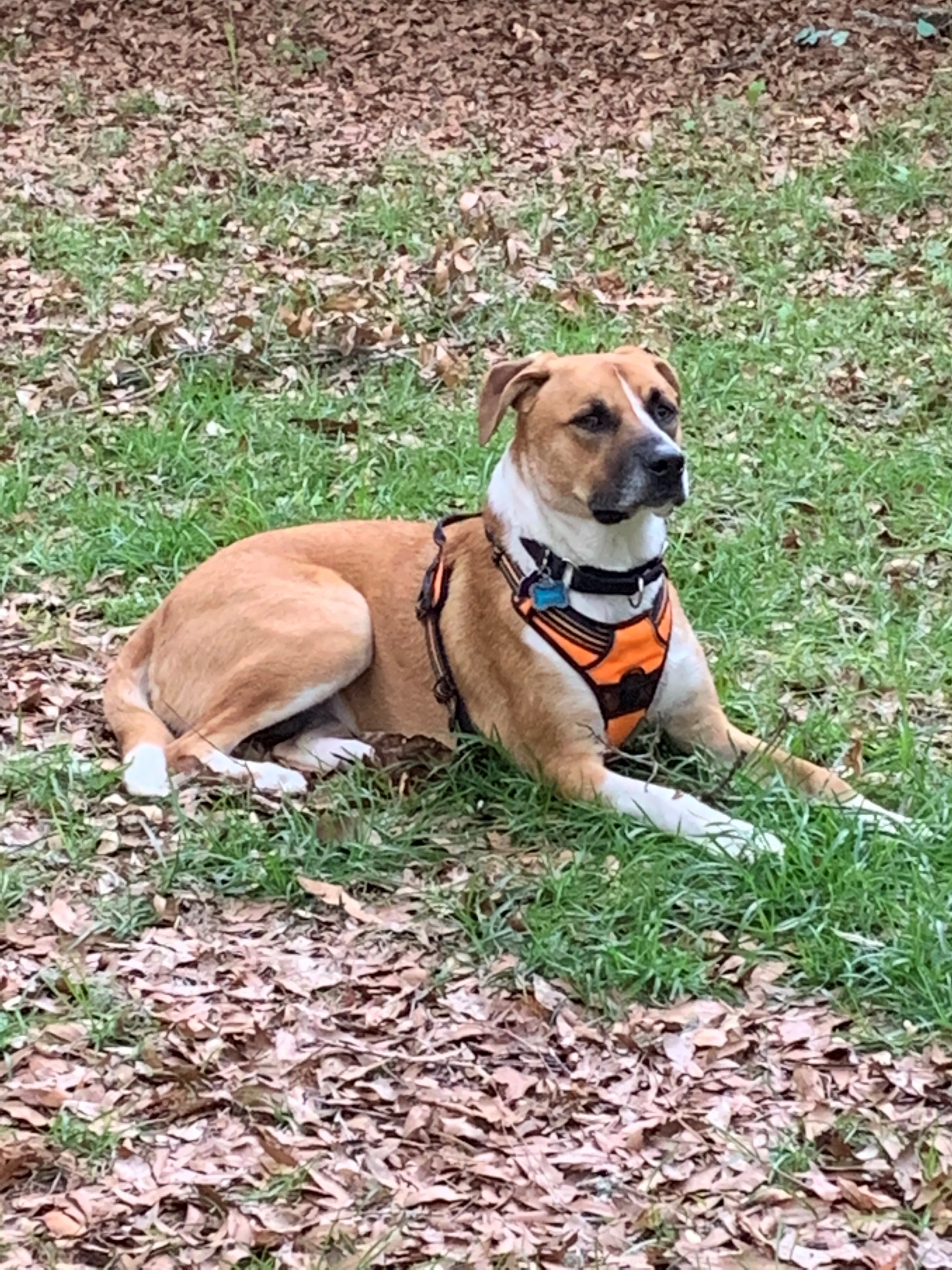 Dakota in one of her favorite places.