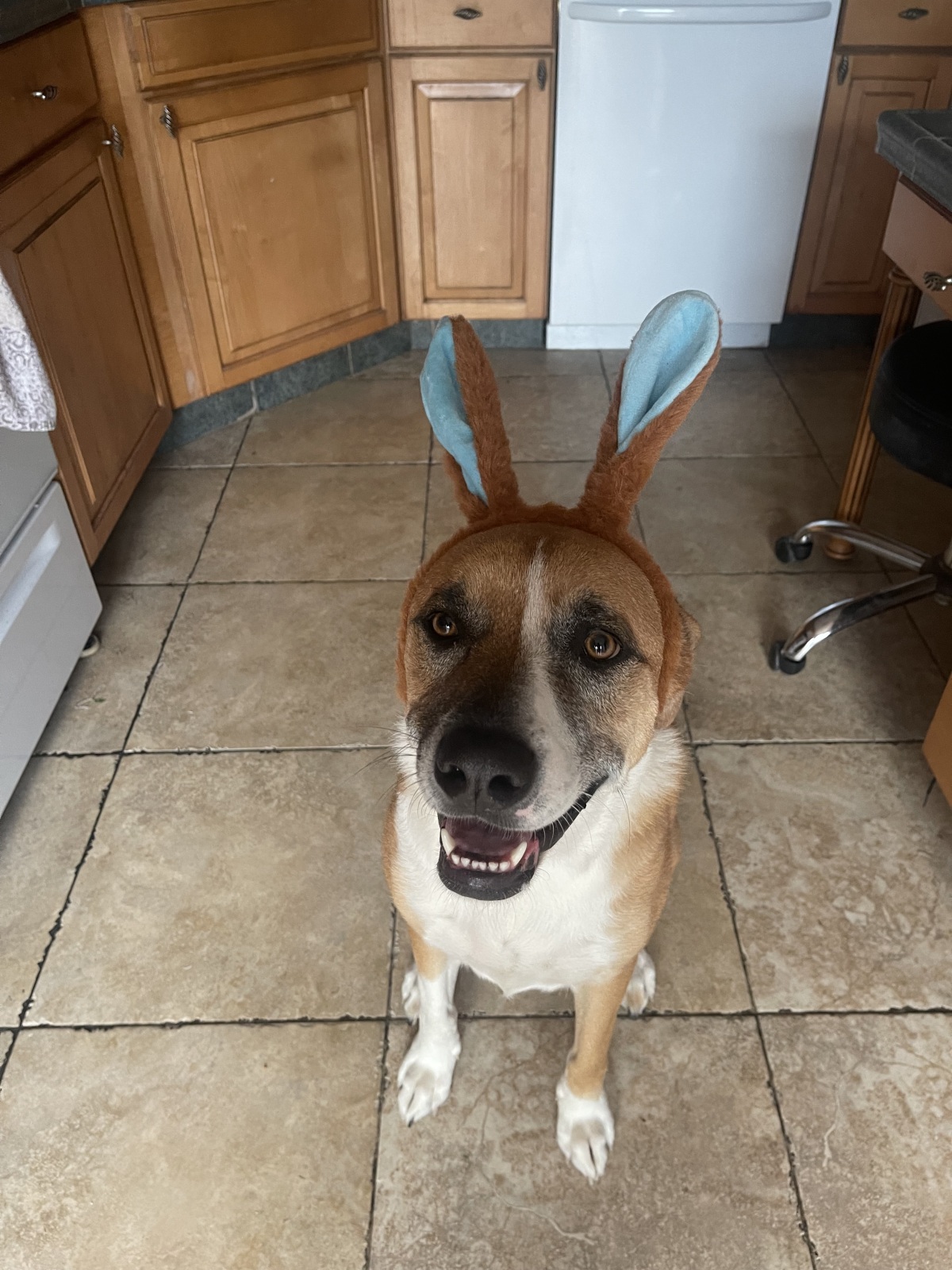 Dakota celebrating Easter