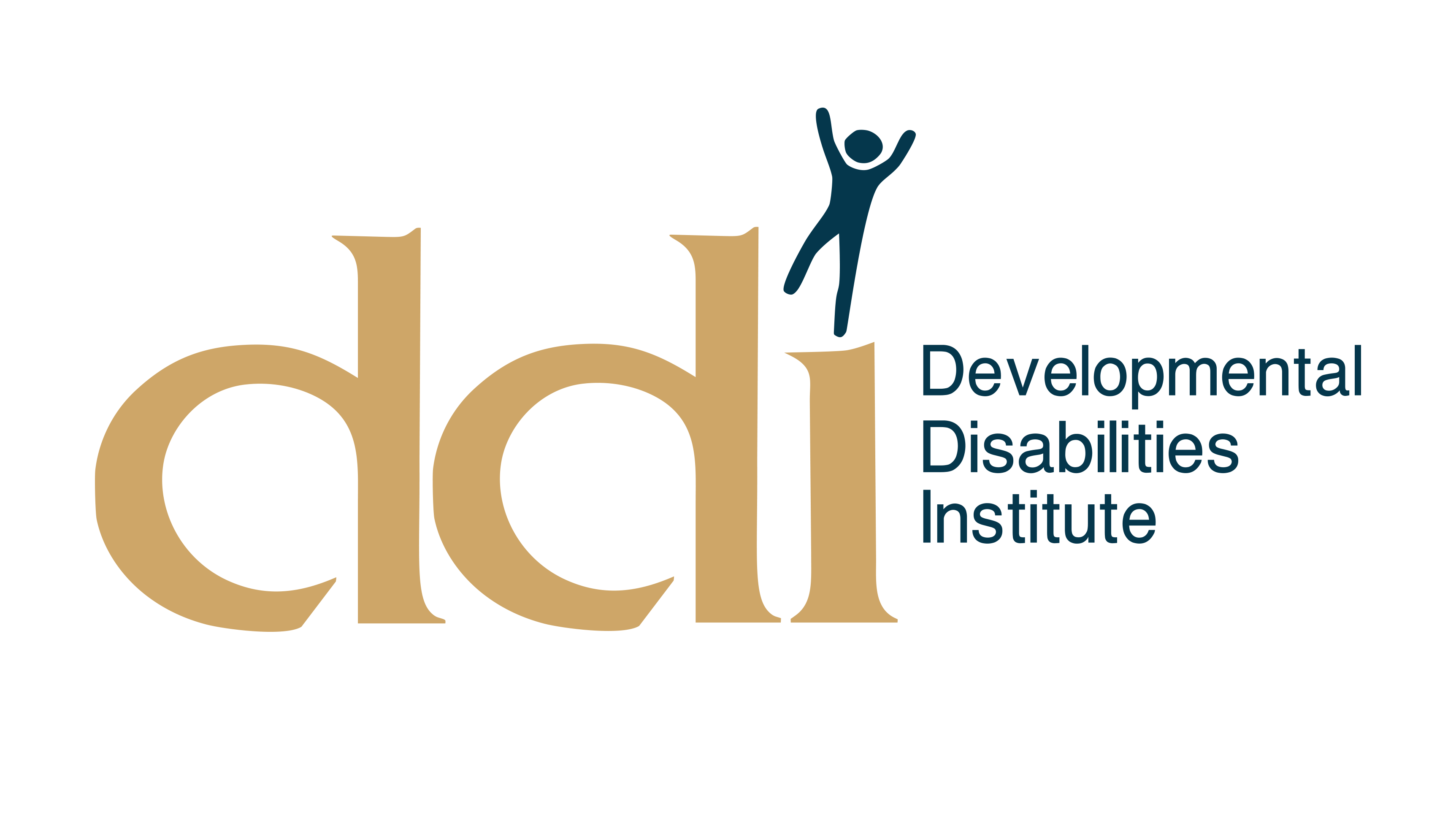 Developmental Disabilities Institute