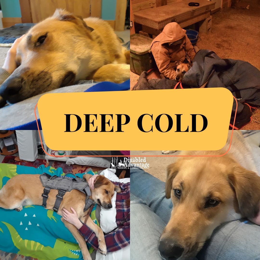 Prevent Shock Flares