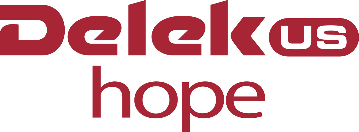 Delek