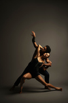 Dancers: Tyson Ford and Laura Mendes Photo: Todd Rosenberg Photography