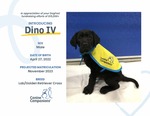 Service dog Dino, named in honor of Alissa