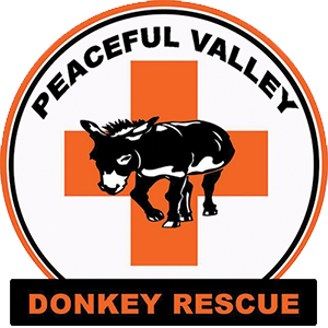 Peaceful Valley Donkey Rescue