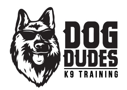 Dog Dudes K9 Training