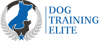 Dog Training Elite