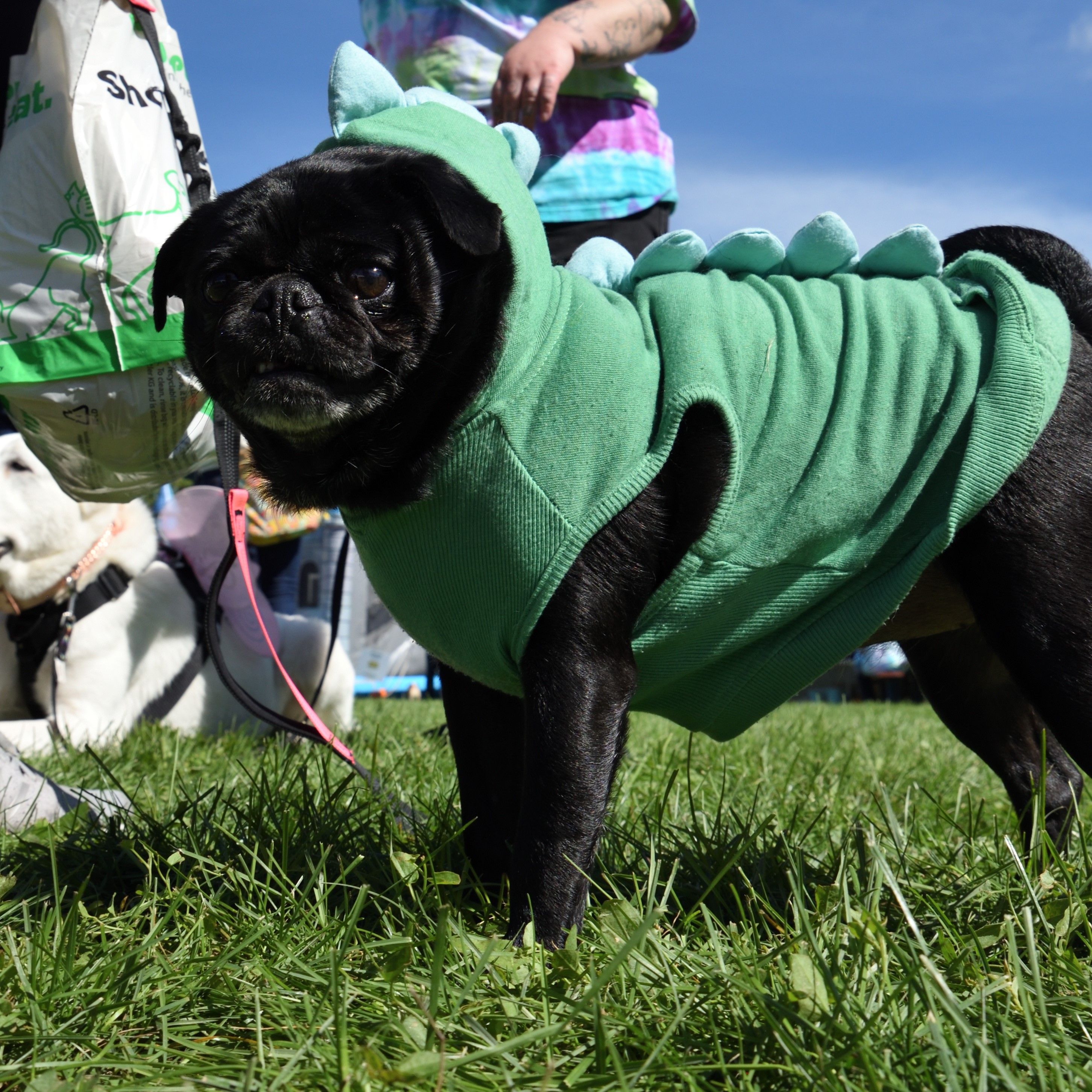 Festival Information - Barktober Fest 2023