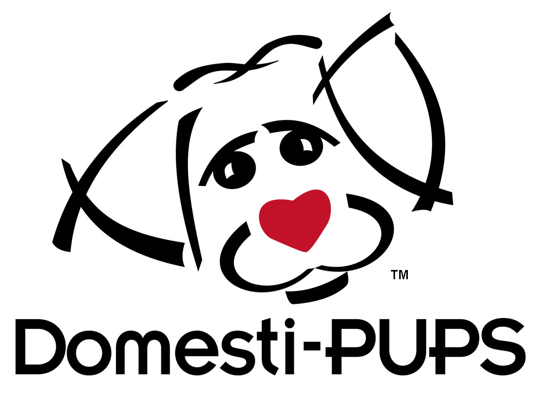 Domesti-Pups