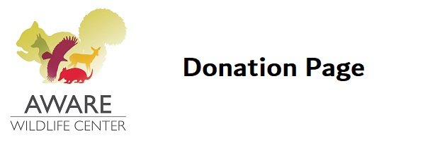 Atlanta Wild Animal Rescue Effort, Inc.