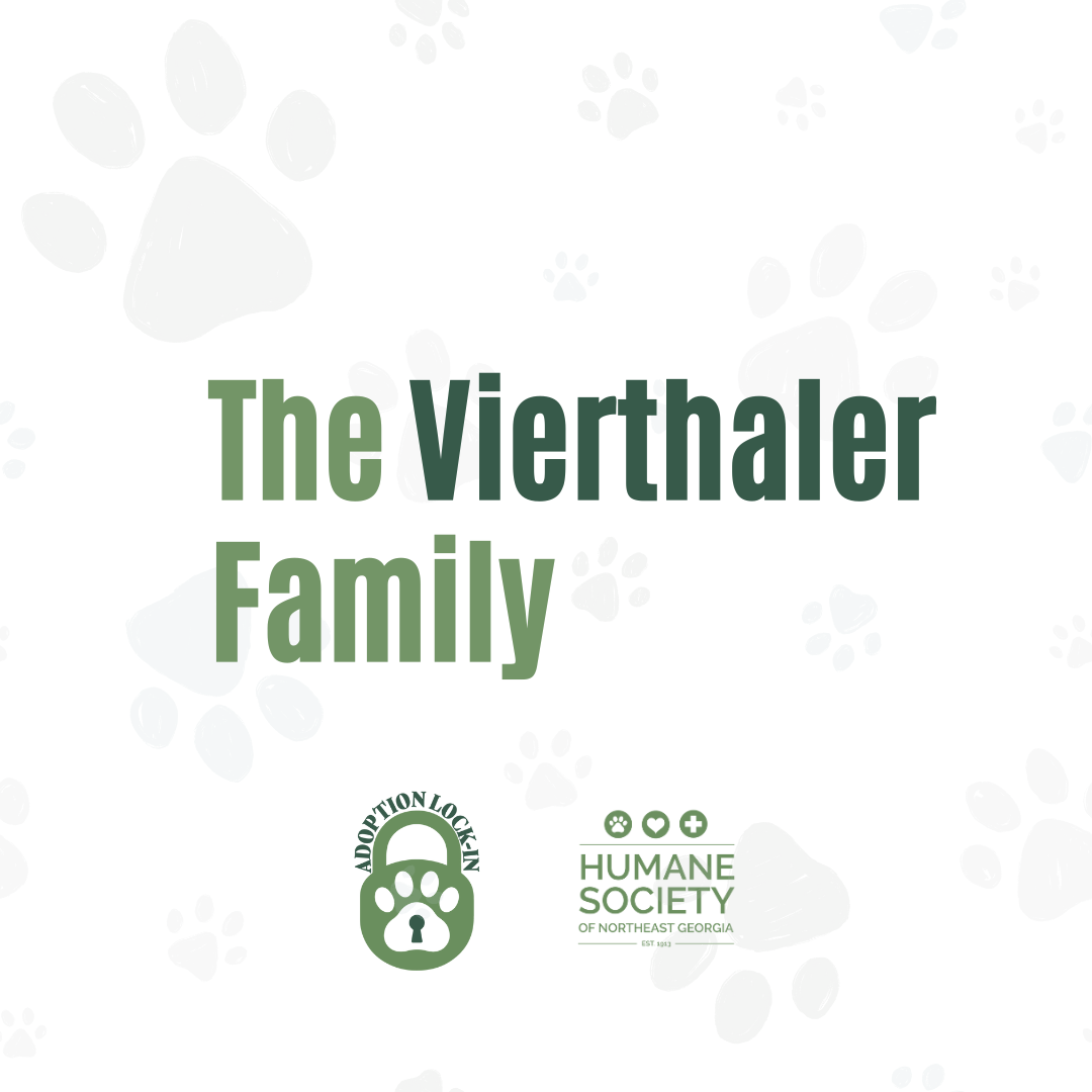 The Vierthaler Family