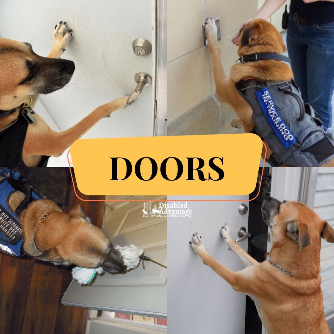 Open & Close Doors for Us