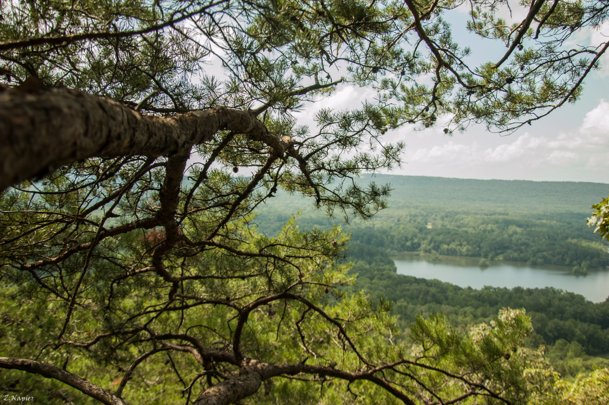 Double Oak Mountain