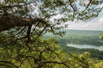 Double Oak Mountain
