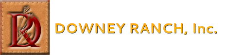 Downey Ranch 