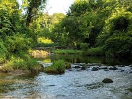 Willistown Conservation Trust