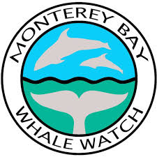 Monterrey Whale Watch