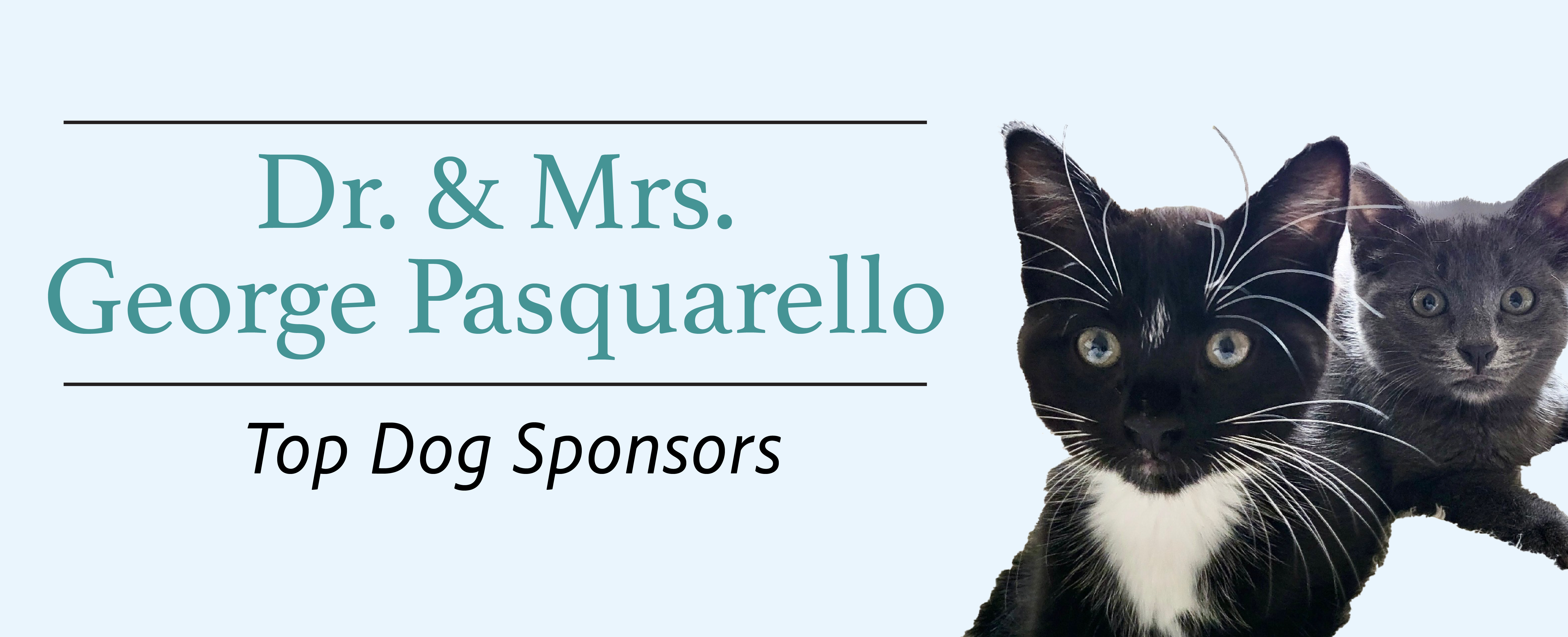 Dr. & Mrs. George Pasquarello