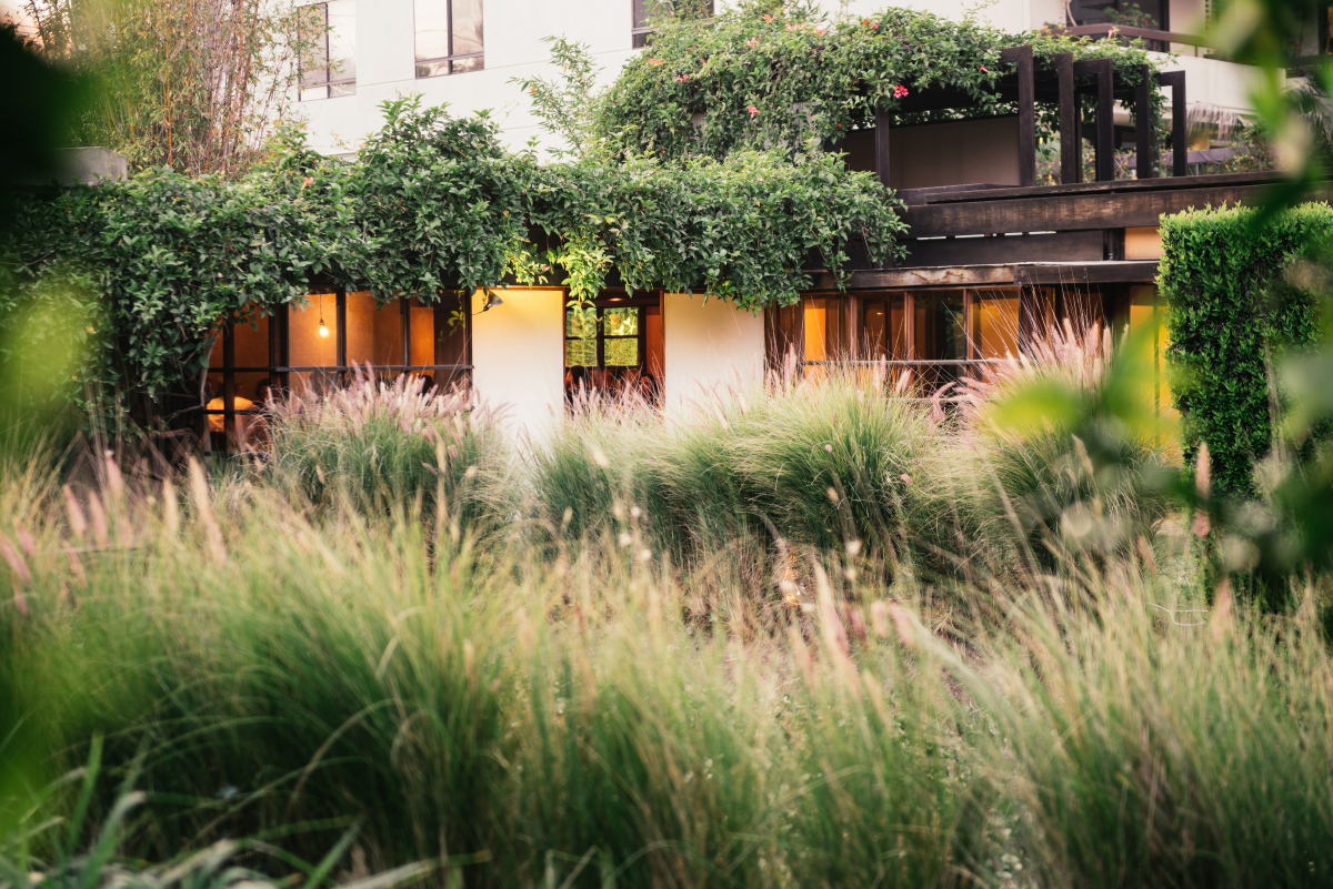 MAK Center at the Schindler House 