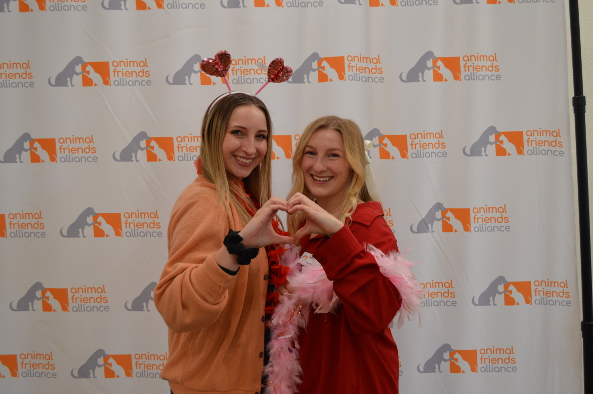 Happy Valentines Day!