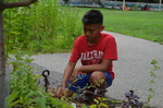 Farming