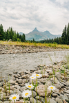 Wyoming landscape