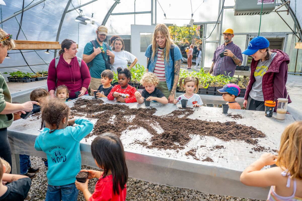 Planting Seeds of Curiosity