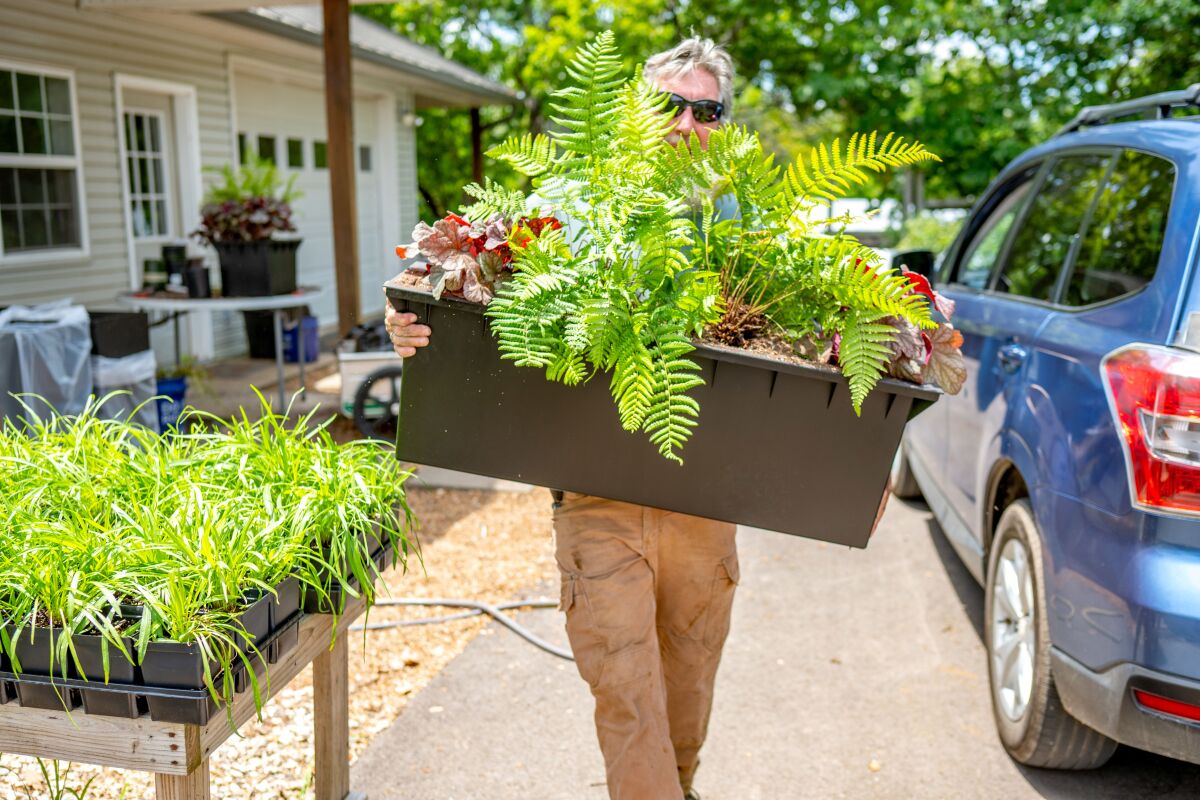 Stewardship in Action