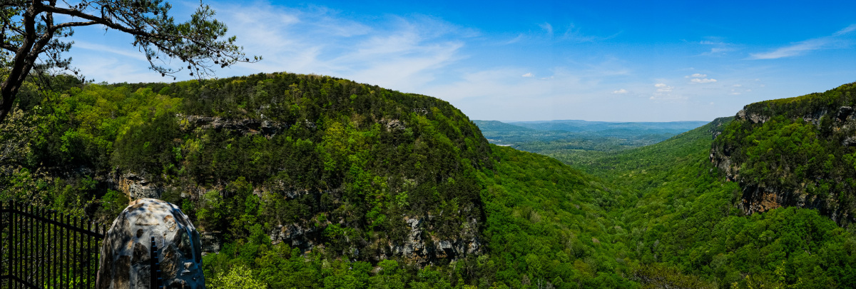 Overlook at Cloudland Canyon State Park