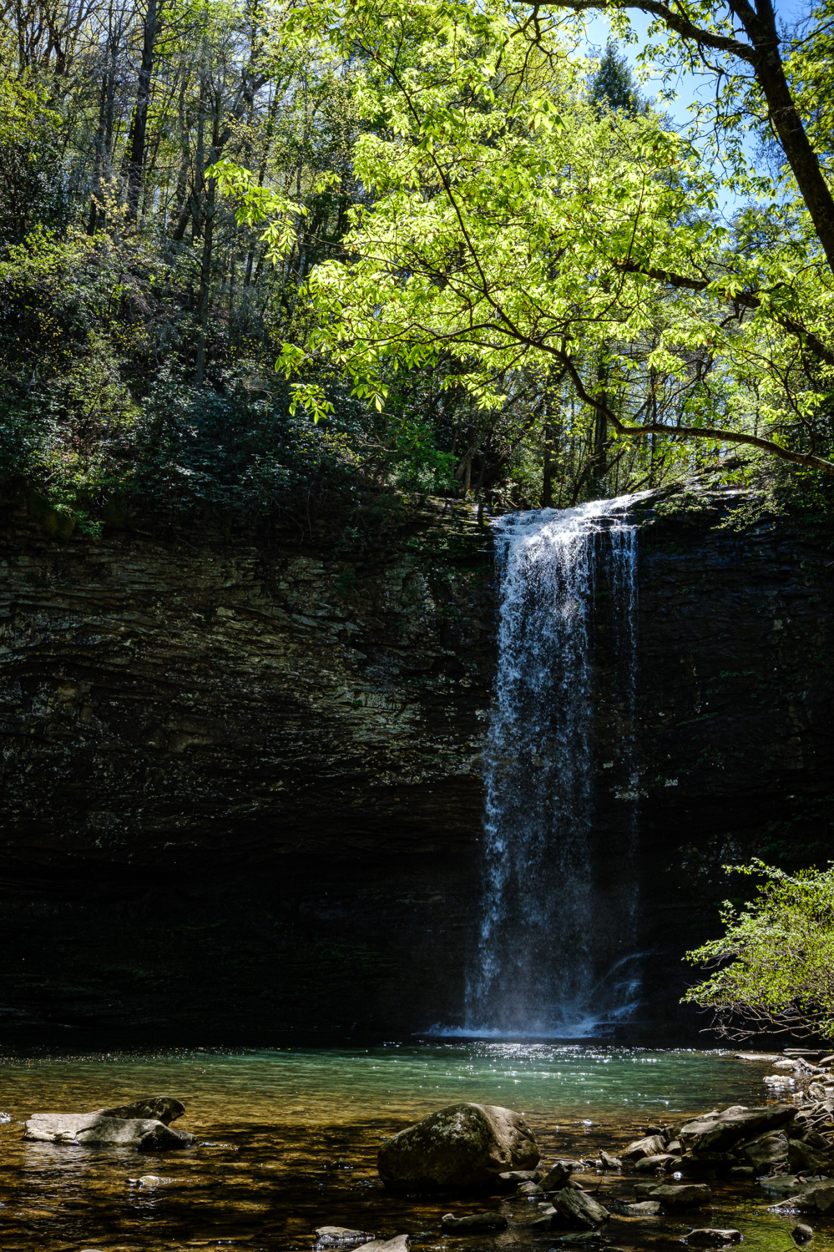 Cherokee Falls at Cloudland Canyon State Park