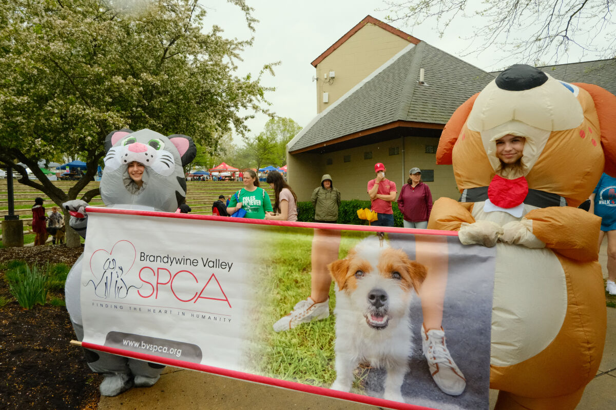 Walk for a Great Cause!