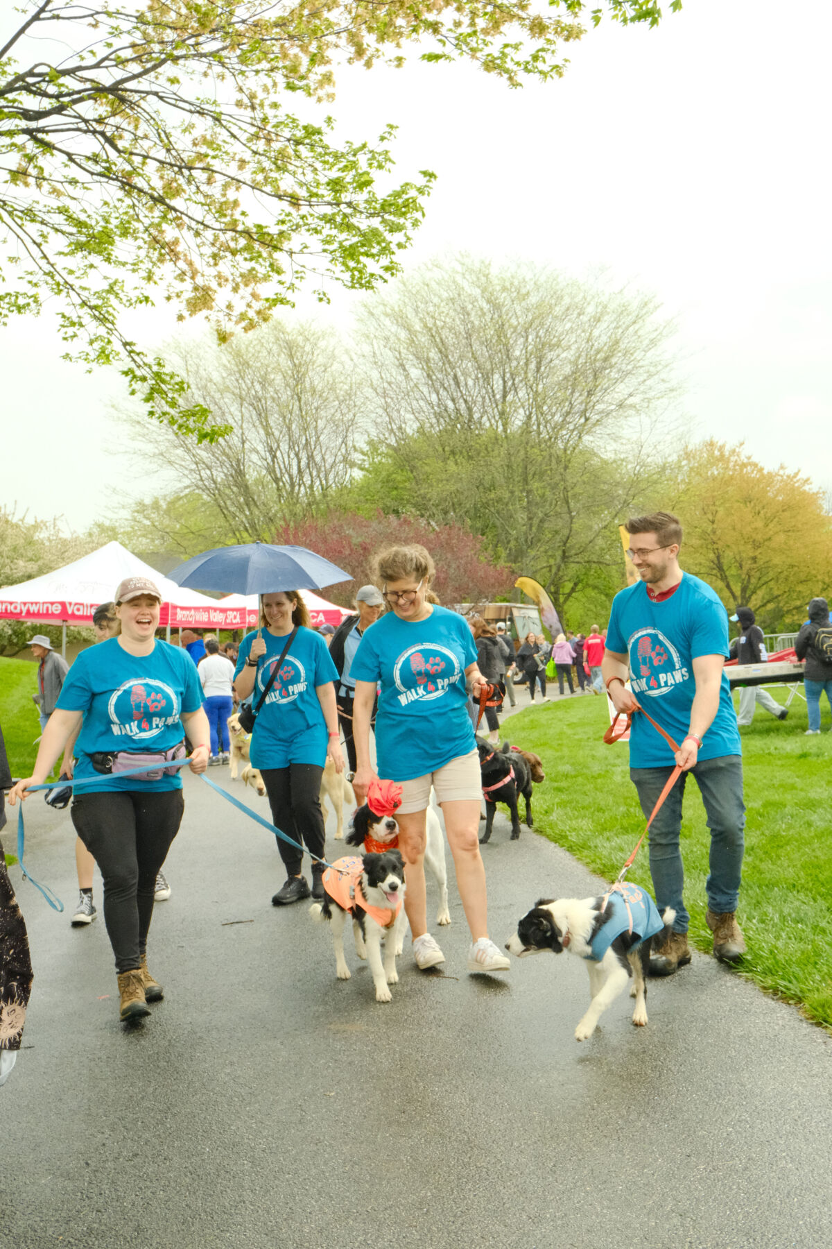 Friendly Faces Everywhere