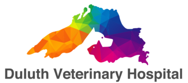 Duluth Veterinary Clinics