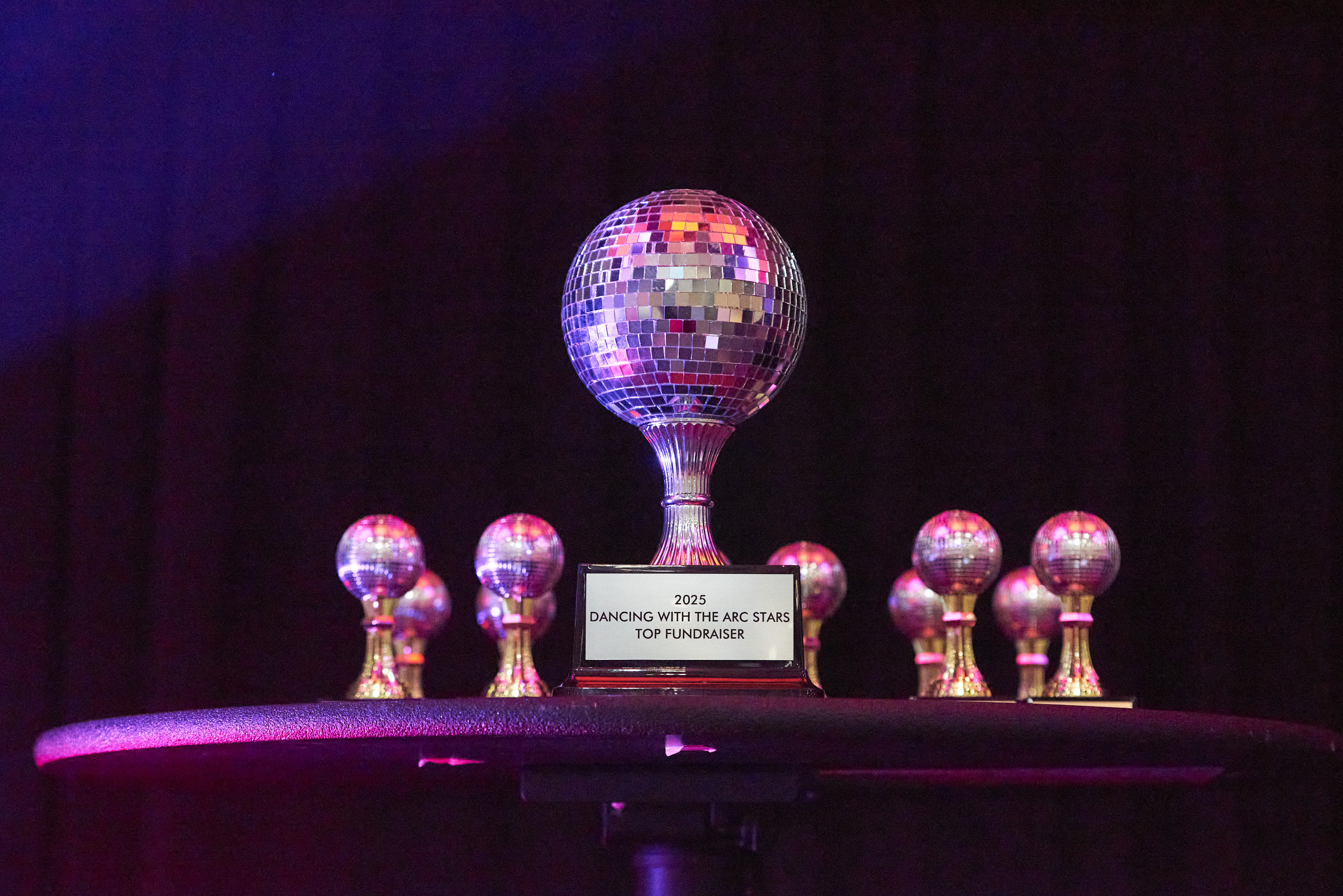 2026 Dancing with the Arc Stars