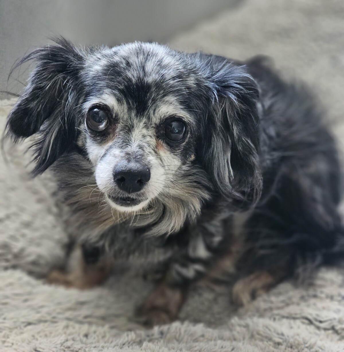 A0061518549-Juno