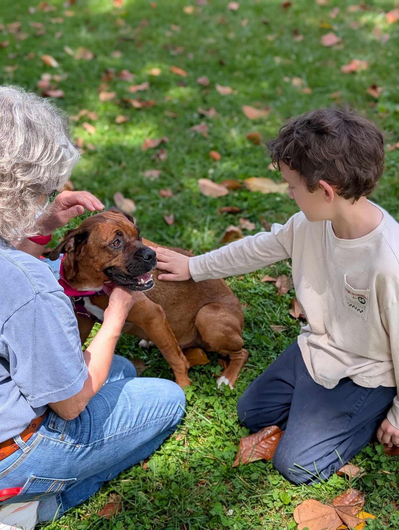 education dog.jpg