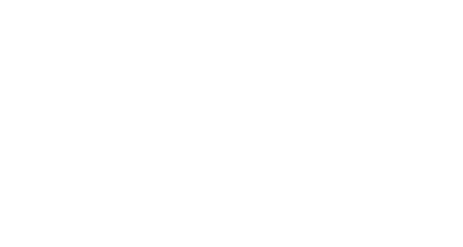 Epilepsy Foundation New England