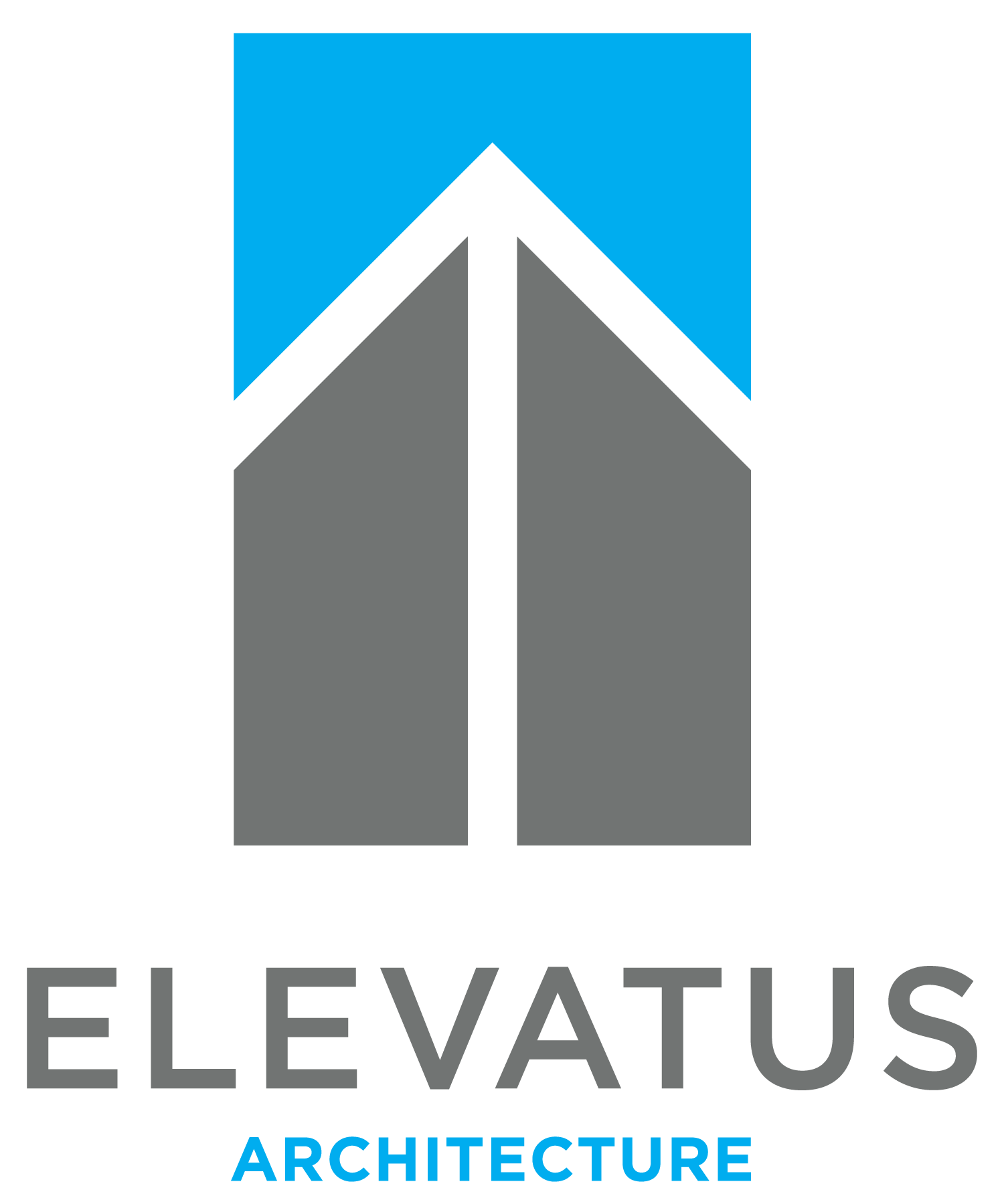 Elevatus Architecture
