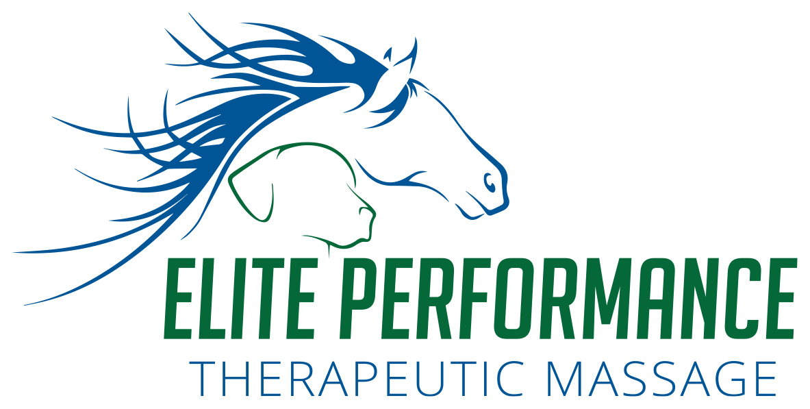 Elite Performance Therapeutic Massage