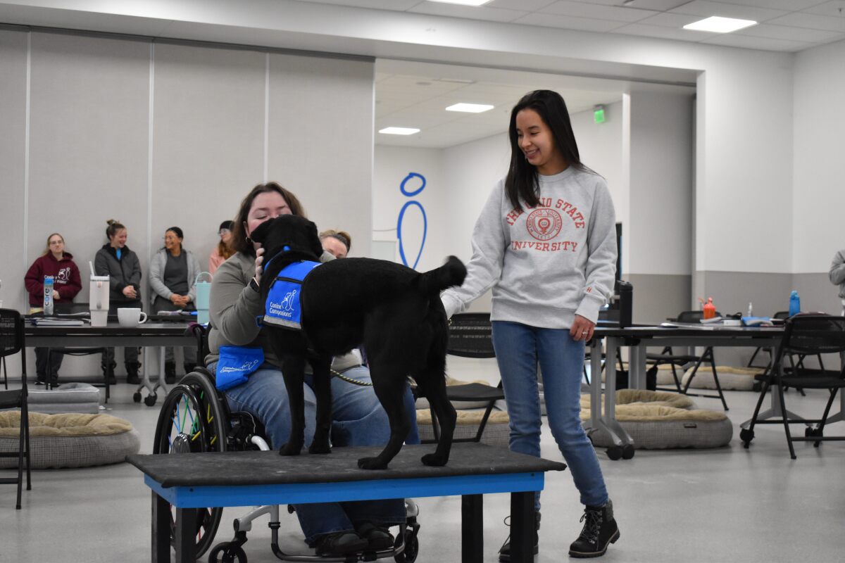 Paola's trainer (right) officially handing over her leash to me!