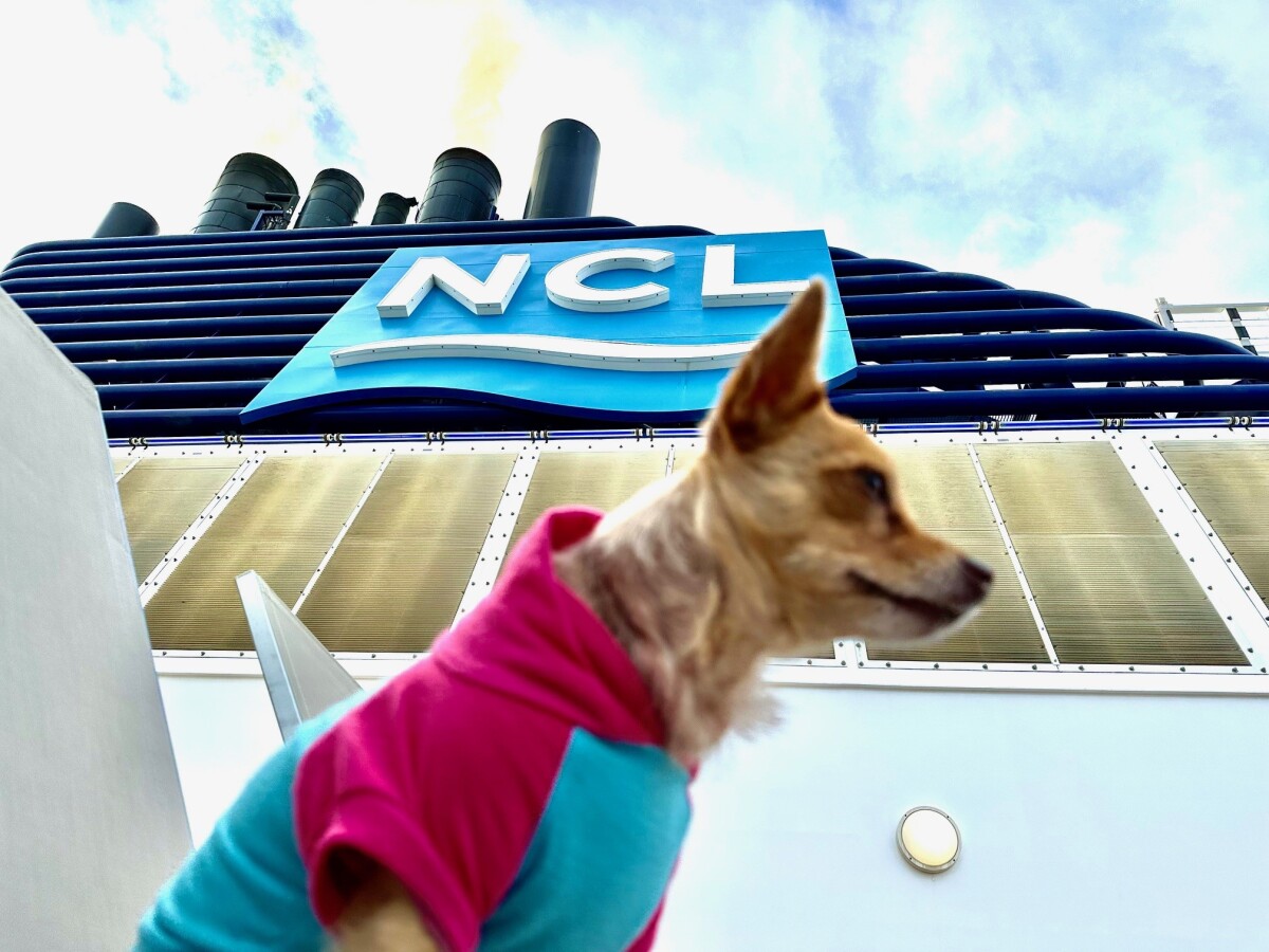 SammiRose LOVES Norwegian Cruise Line...