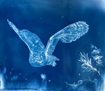 Erica Podwoiski, Look for Me in the Flowers