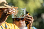 Endangered Species Tour