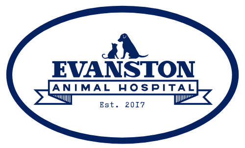 Evanston Animal Hospital