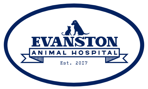 Evanston Animal Hospital 