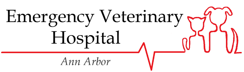 Emergency Veterinary Hospital
