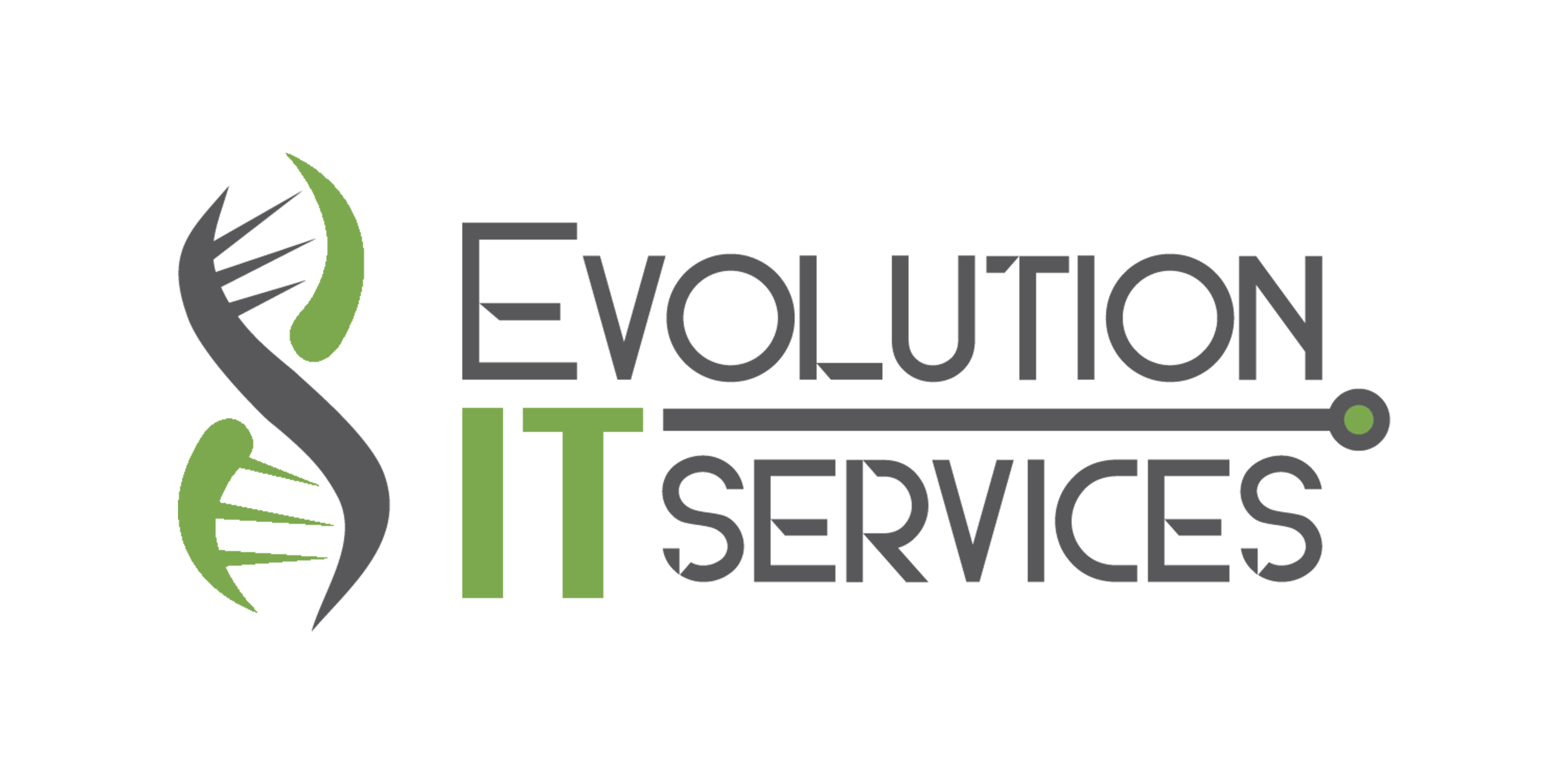 Evolution IT Services