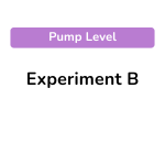 Experiment B