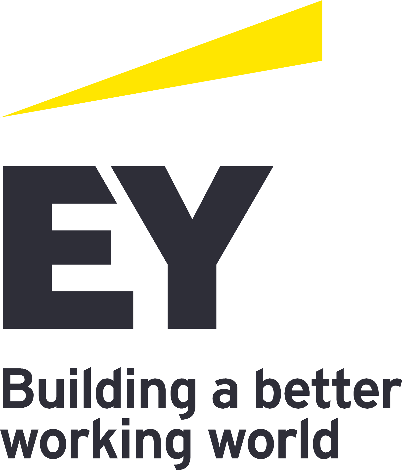  Ernst & Young Global Limited