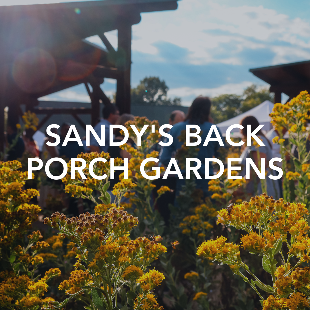  Sandy's Back Porch Gardens